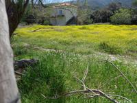 Lesbos, Nordküstenwanderung
