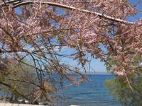 Lesbos, Nordküstenwanderung