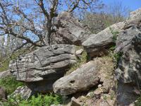Lesbos, Wanderung ins Mühlental