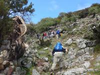 Lesbos, Wanderung im Lepetimnos-Gebirge