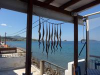 Lesbos, Petra, Frauenkooperative