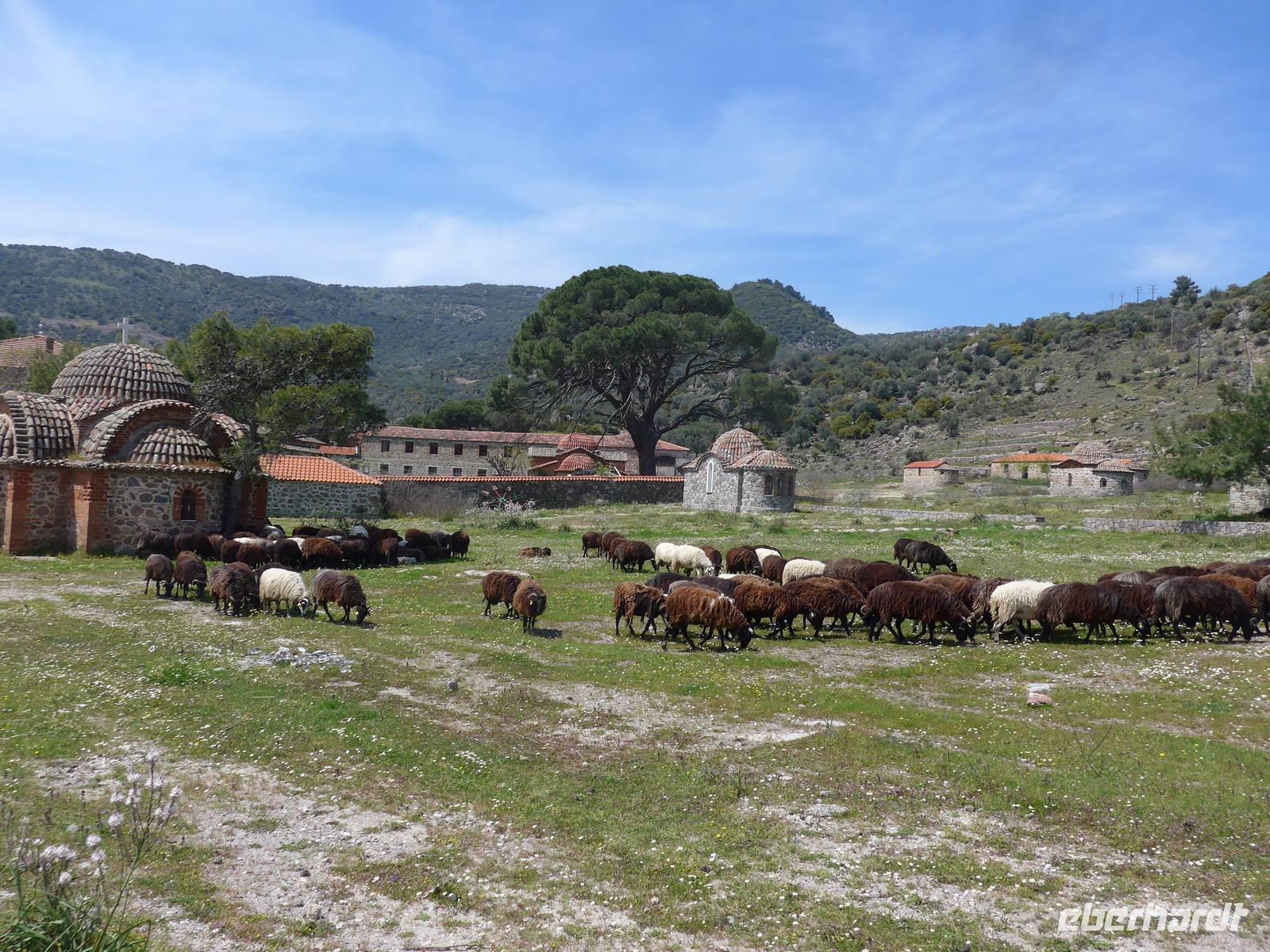 Lesbos, Klosterwanderung, Kloster Limonos