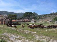 Lesbos, Klosterwanderung, Kloster Limonos