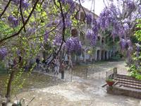 Lesbos, Klosterwanderung, Kloster Limonos