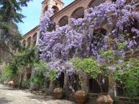 Lesbos, Klosterwanderung, Kloster Limonos