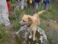 Lesbos, Wanderung zum Aquädukt, Flix