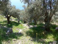 Lesbos, Südküste bei Plomari