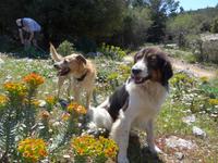 Lesbos, Panoramawanderung Golf von Gera