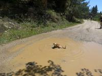 Lesbos, Flix beim Baden