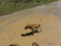 Lesbos, Flix frisch gebadet