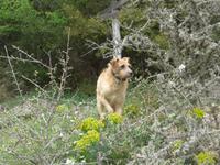 Lesbos, Flix unterwegs