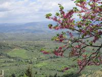 Blick in die Ebene von Sparta