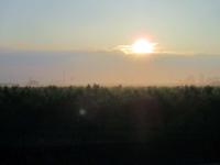 Morgendunst in der Poebene