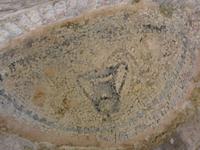 Korfu, Albanienausflug, Butrinti, Mosaik am Gymnasium