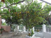 Korfu, Sinarades, Zitronenpergola