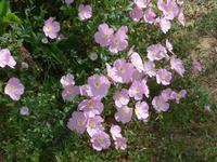 Korfu, Sinarades, unbekannte Schönheit