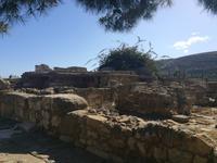 031 Knossos