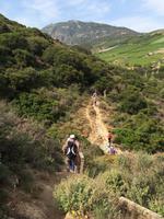 091  Knosiano-Schulcht