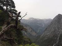 121 Samaria Nationalpark