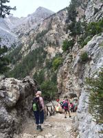 123 Samaria Nationalpark