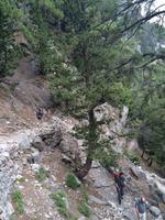 126 Samaria-Schlucht