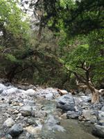 135 Samaria-Schlucht