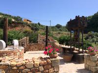 208 Olivenpressmaschine