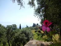 Achilleion