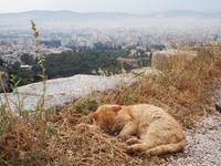 Akropolis