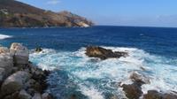 Apollonas 