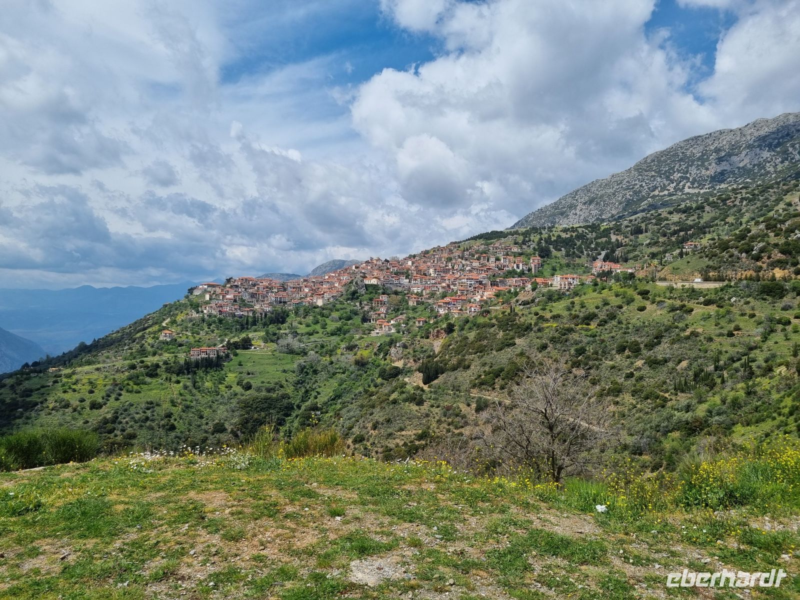 Arachova