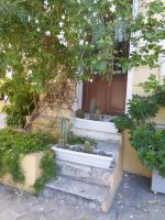 Athen Plaka