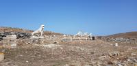 Besuch der Ausgrabungen von Delos