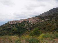 Blick auf Arachova