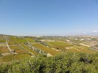 DSC06035