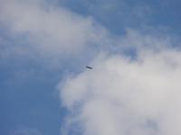 DSC06355