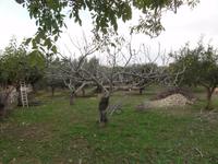 DSC06473