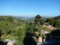 DSCN0946
