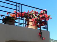 DSCN0951