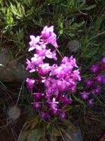 DSCN0971