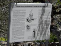 DSCN0979