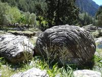 DSCN1141