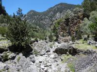 DSCN1145