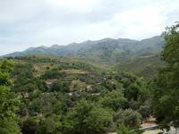 DSCN1285