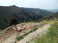 DSCN1298