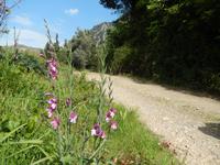 DSCN1302
