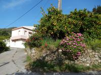 DSCN1316