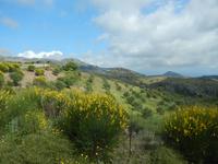 DSCN1329