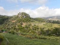 DSCN1331