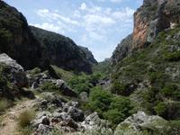 DSCN1357